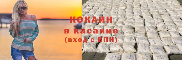 сатива Лабытнанги
