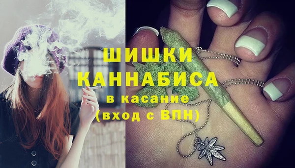 spice Ладушкин