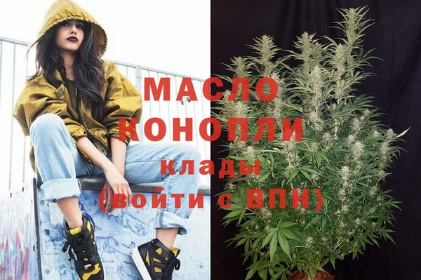 сатива Лабытнанги