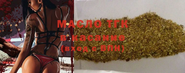 сатива Лабытнанги