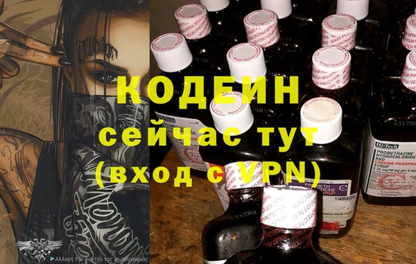 сатива Лабытнанги