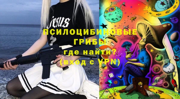прущий лед Лагань