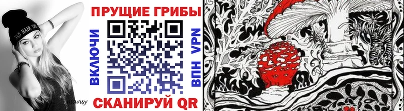 Купить  Можга  Псилоцибиновые грибы Cubensis 